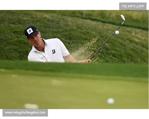 尼克福勒斯高尔夫大赛精彩回顾：顶级选手争锋与激烈赛事亮点解析