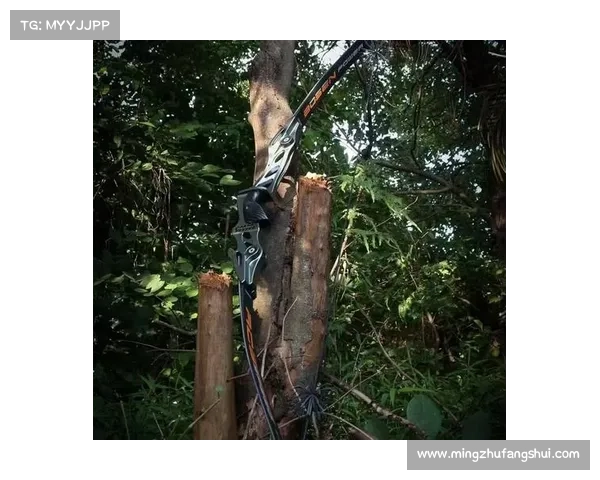 弓箭比赛中必知的八大规则助你成为射箭高手